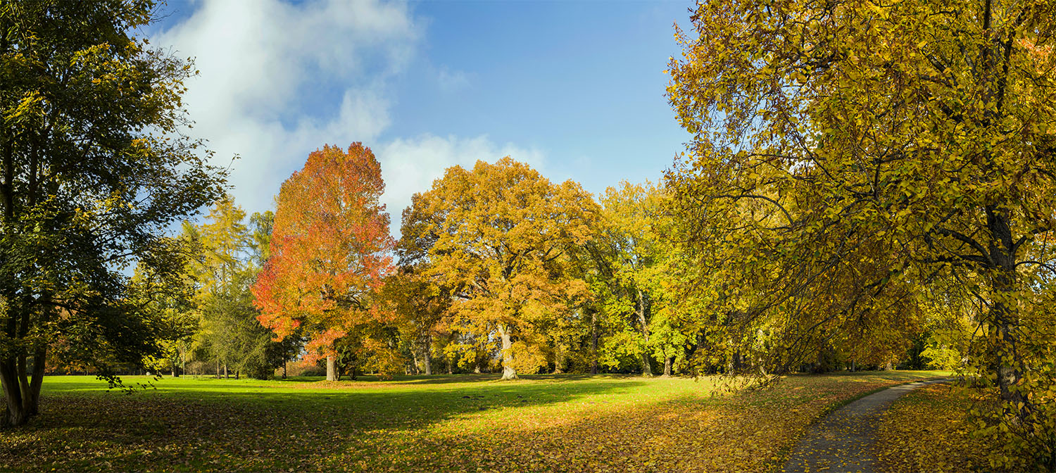 Herbst im Schlosspark Pansevitz